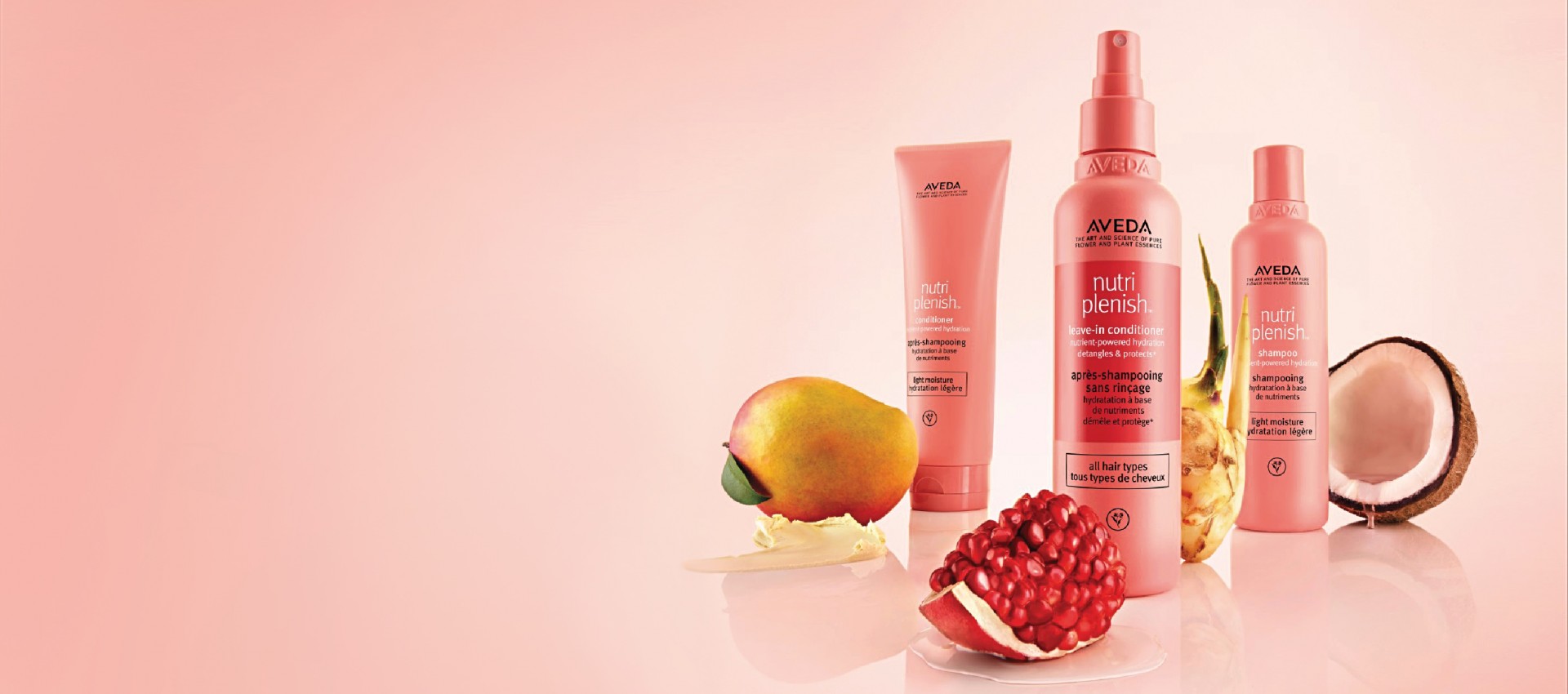 Etiam sit amet orci eget eros faucibus